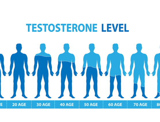 Cara Meningkatkan Hormon Testosteron Pada Pria